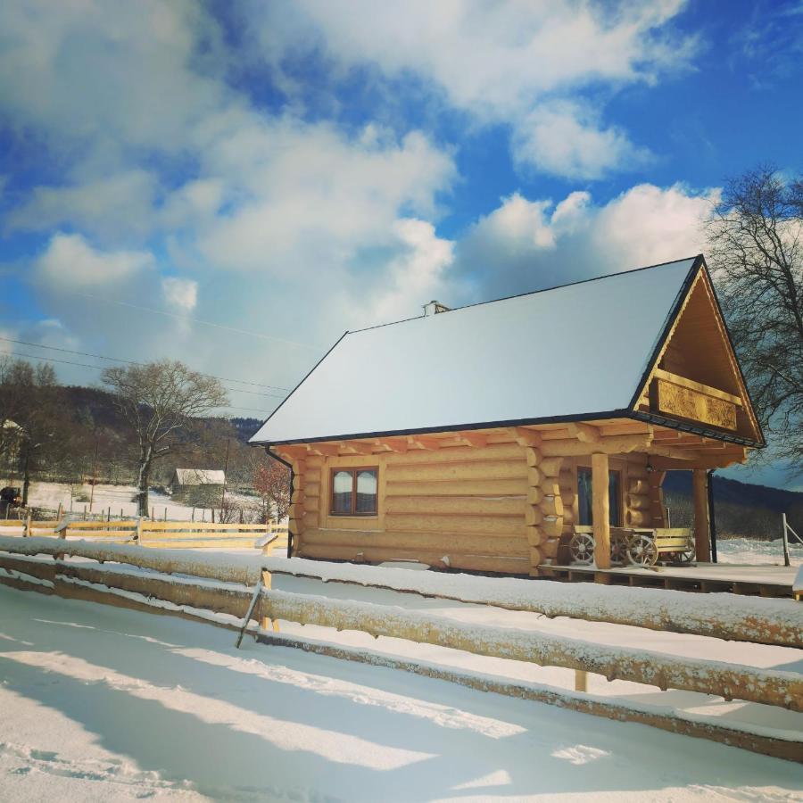 Sudecki Dym Z Kominkiem Kolo Karpacza. Agroturystyka Janowice Wielkie Bagian luar foto