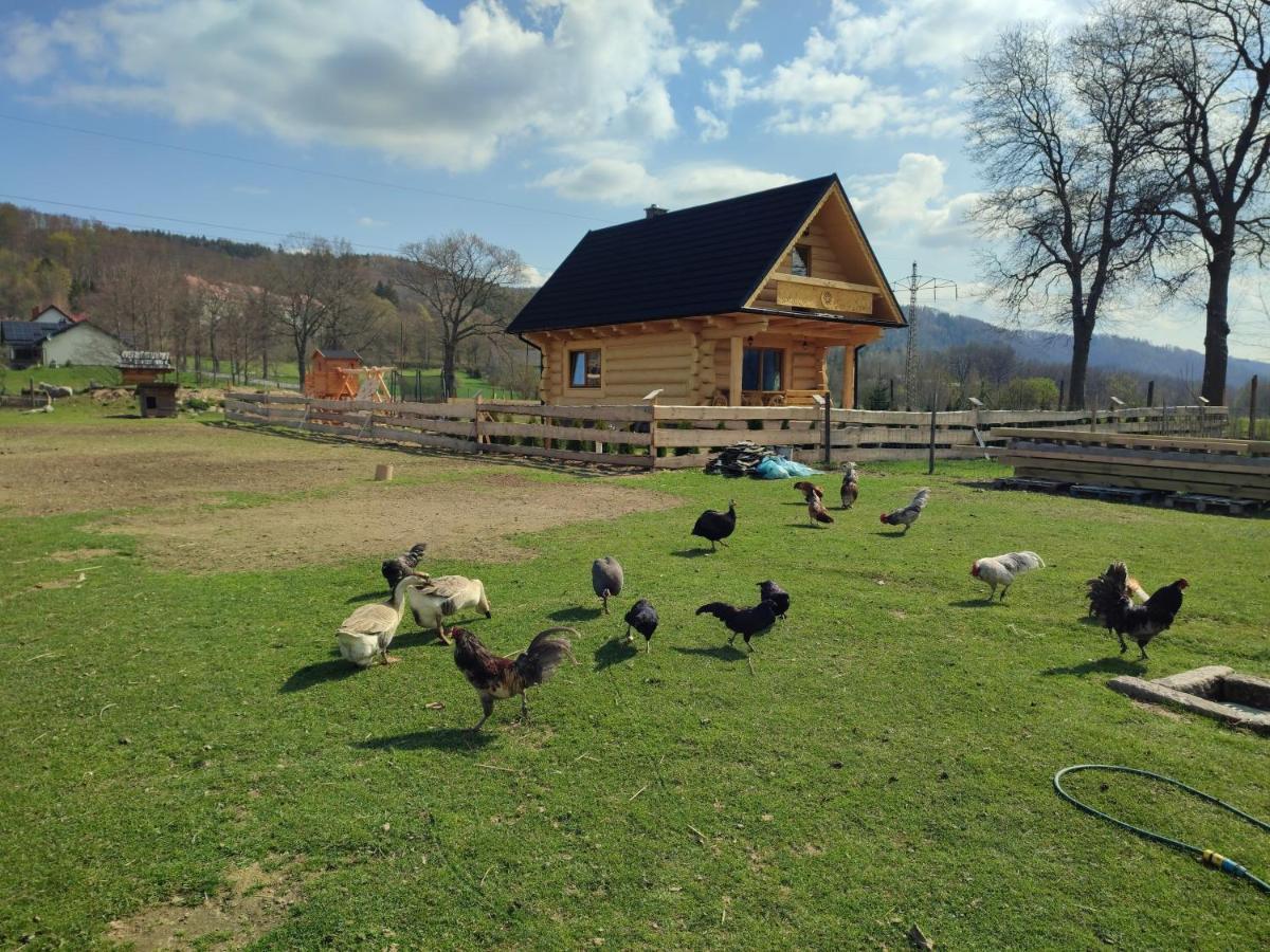 Sudecki Dym Z Kominkiem Kolo Karpacza. Agroturystyka Janowice Wielkie Bagian luar foto