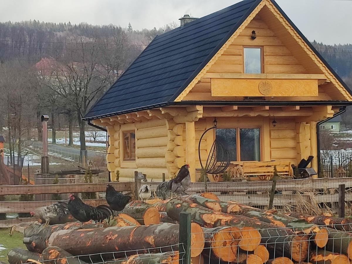 Sudecki Dym Z Kominkiem Kolo Karpacza. Agroturystyka Janowice Wielkie Bagian luar foto