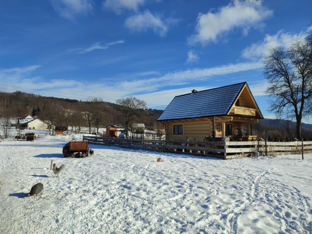 Sudecki Dym Z Kominkiem Kolo Karpacza. Agroturystyka Janowice Wielkie Bagian luar foto