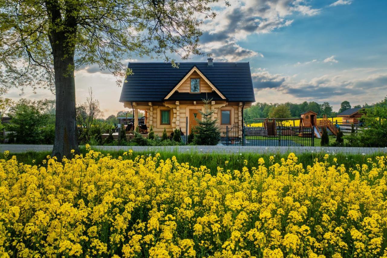 Sudecki Dym Z Kominkiem Kolo Karpacza. Agroturystyka Janowice Wielkie Bagian luar foto