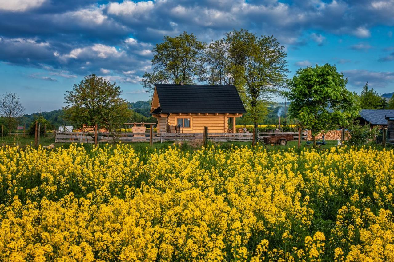 Sudecki Dym Z Kominkiem Kolo Karpacza. Agroturystyka Janowice Wielkie Bagian luar foto
