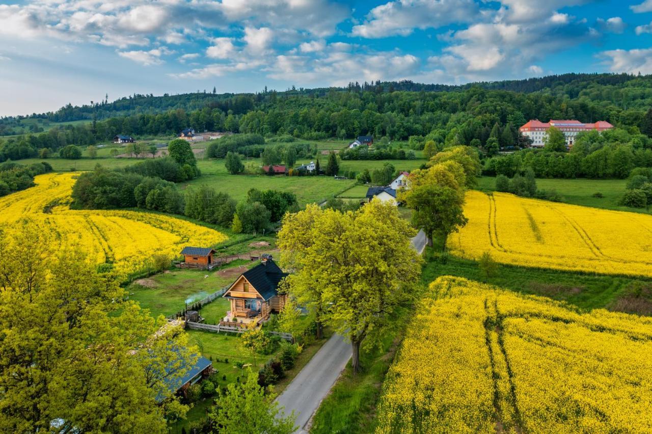 Sudecki Dym Z Kominkiem Kolo Karpacza. Agroturystyka Janowice Wielkie Bagian luar foto